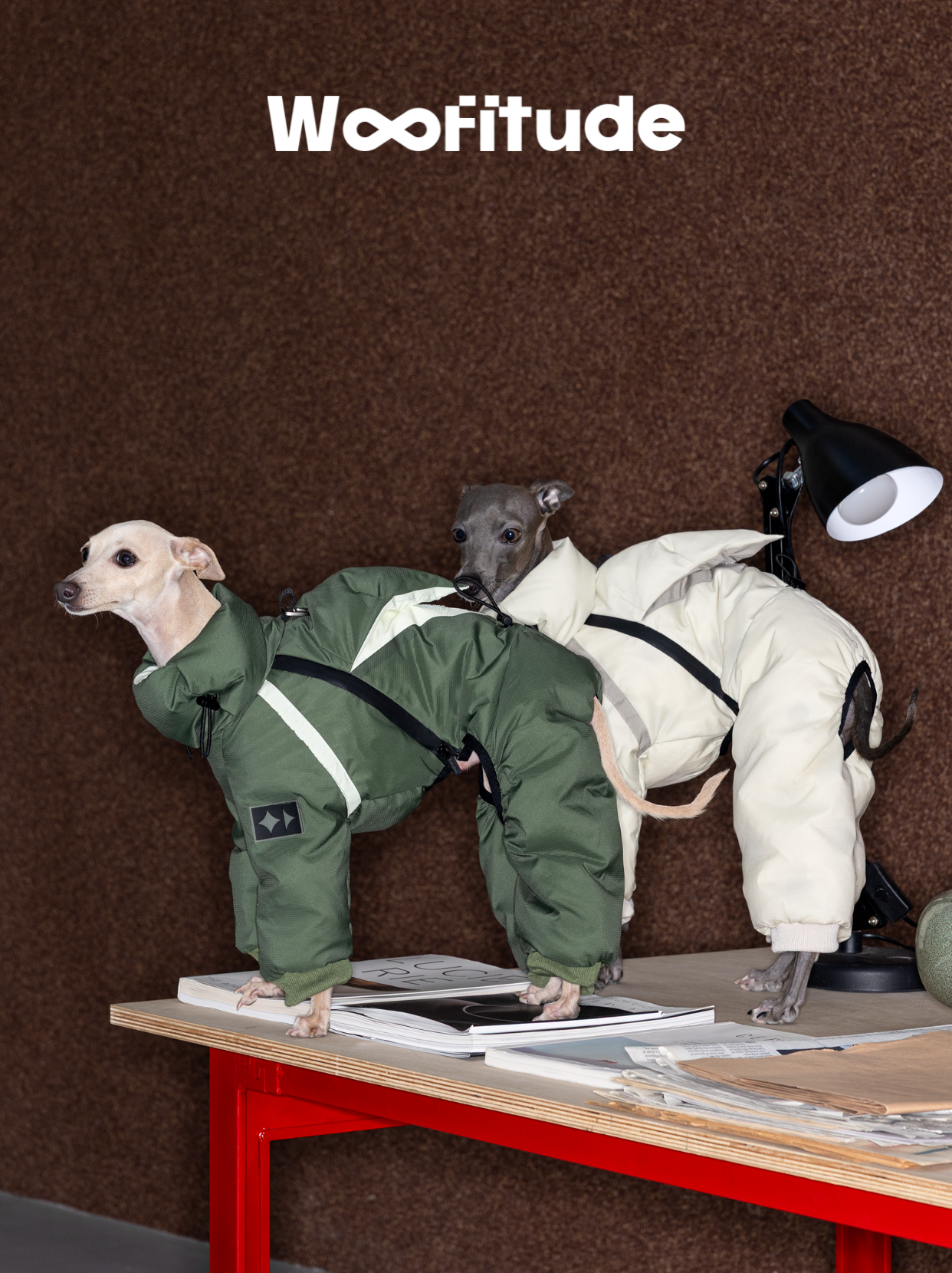 Dog Down Suit
