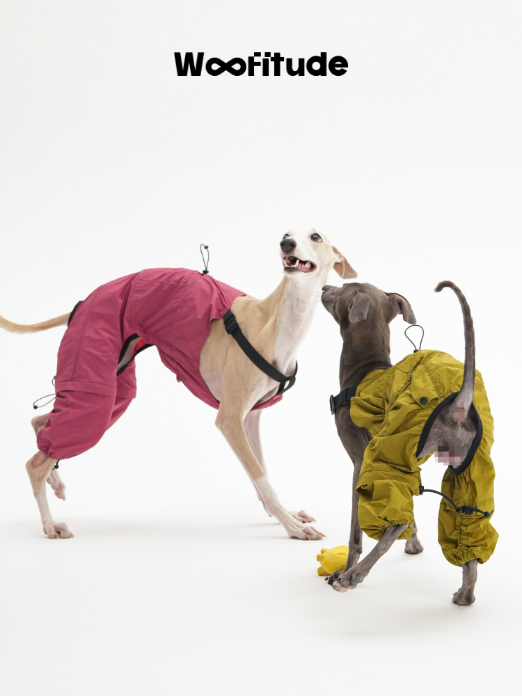 UV-Protective Dog Overall