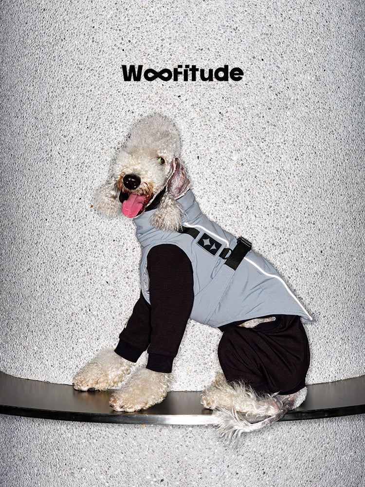 Cashmere Warm Dog Winter Suit