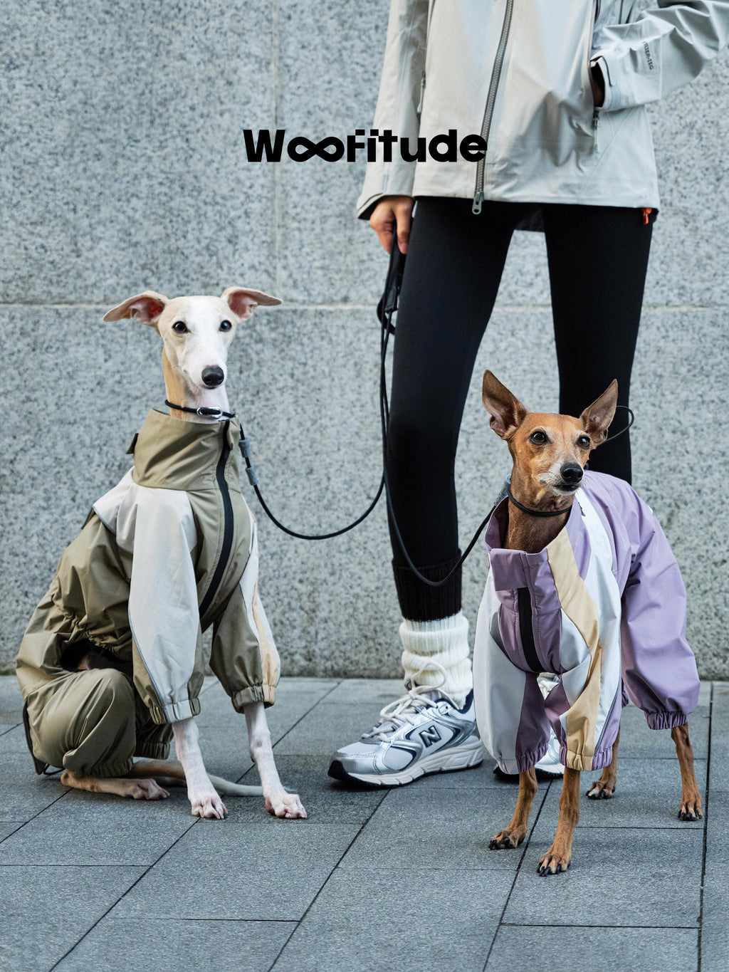 Waterproof Dog Windbreaker