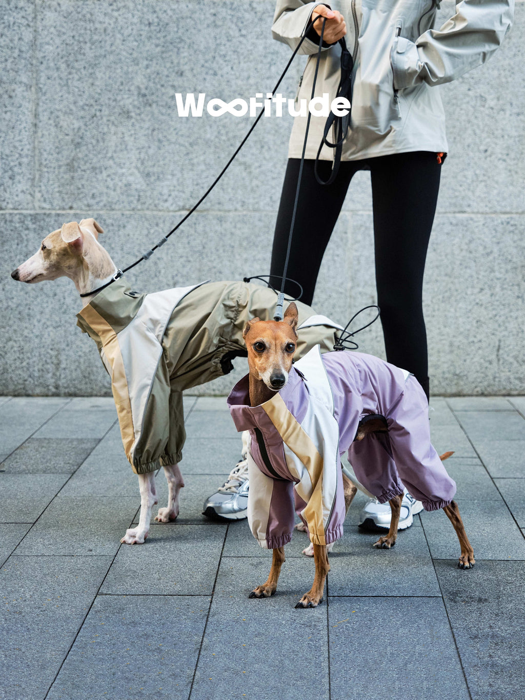 Waterproof Dog Windbreaker