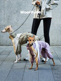 Waterproof Dog Windbreaker