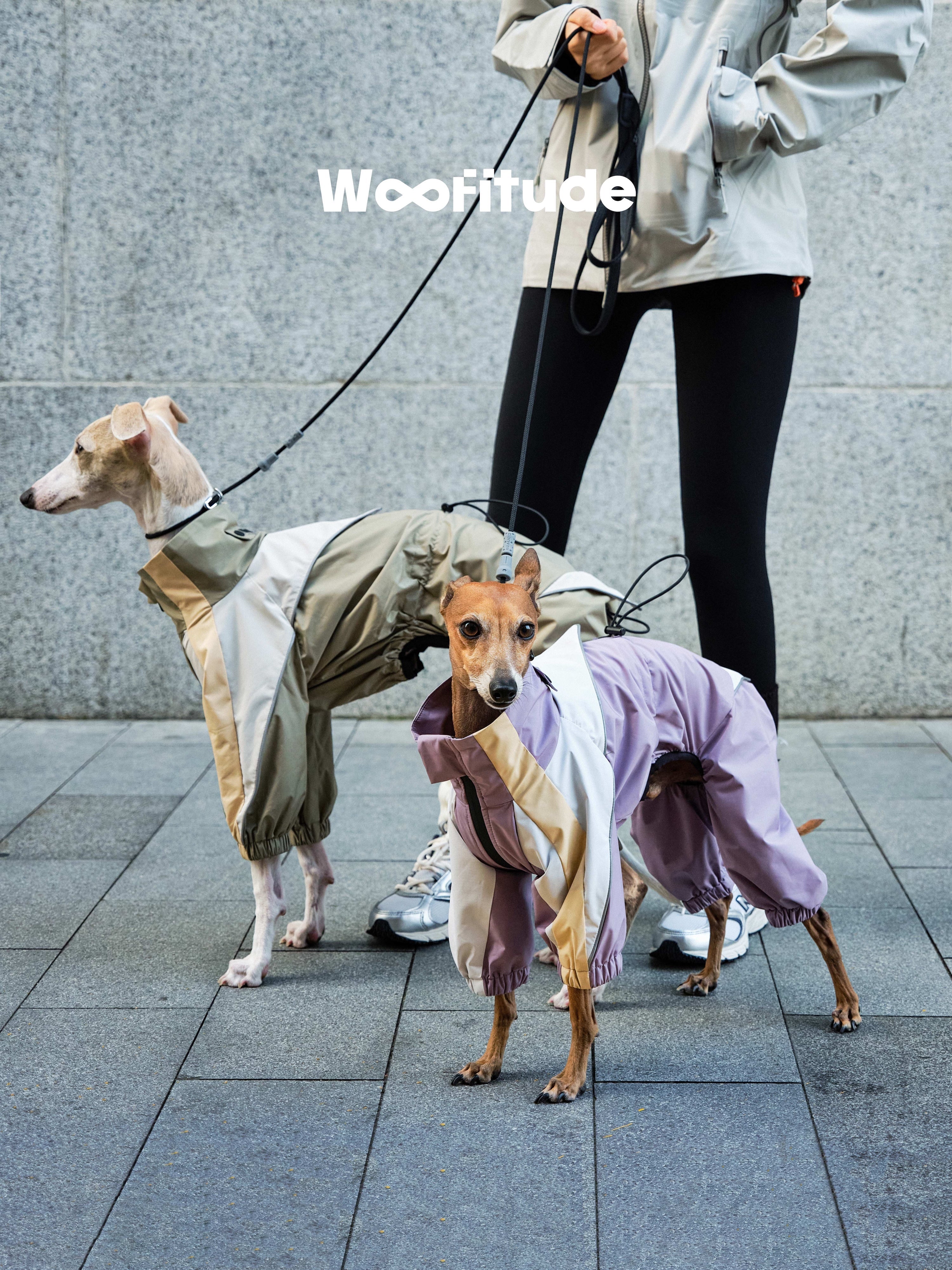 Waterproof Dog Windbreaker