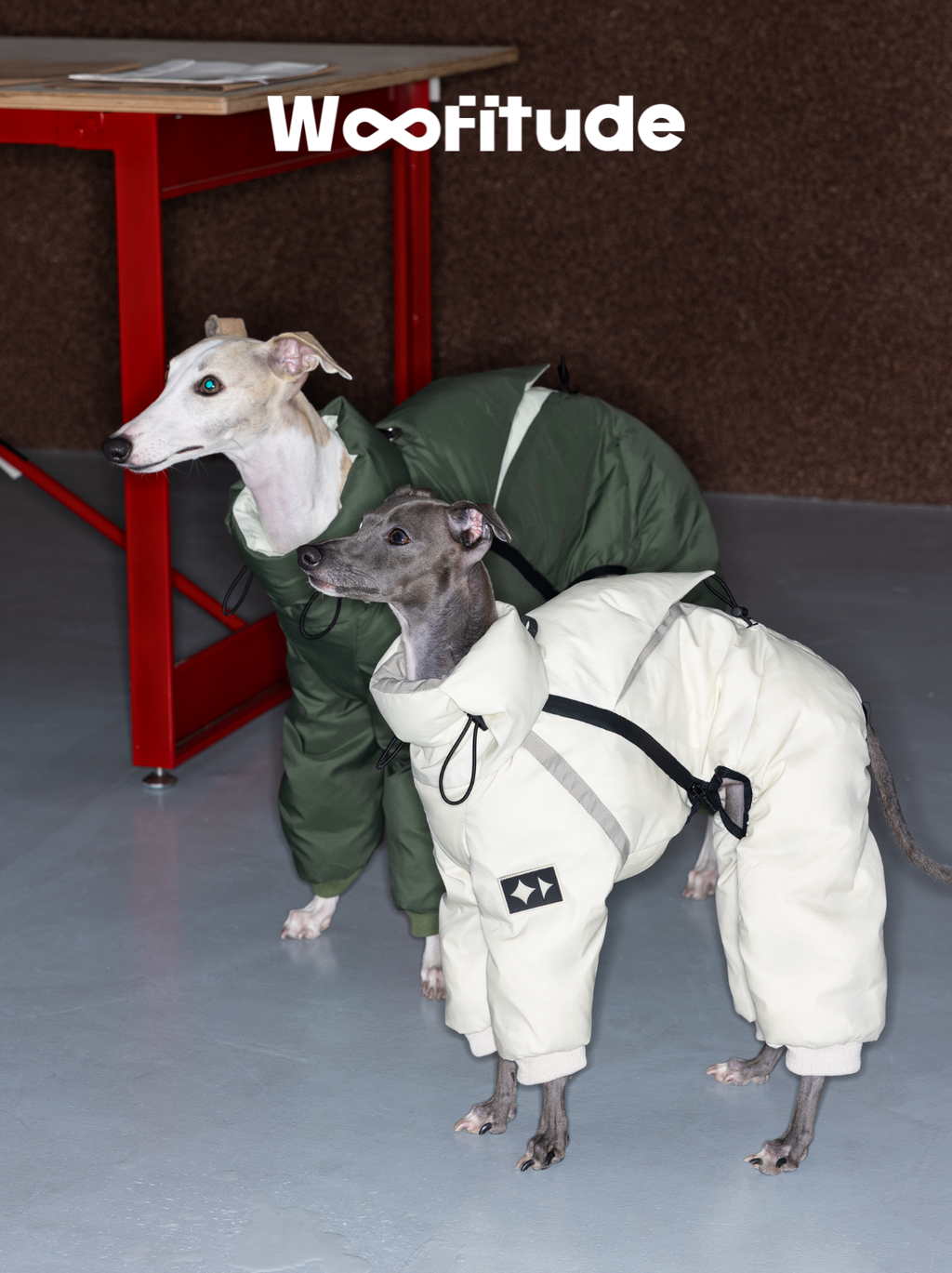 Dog Down Suit