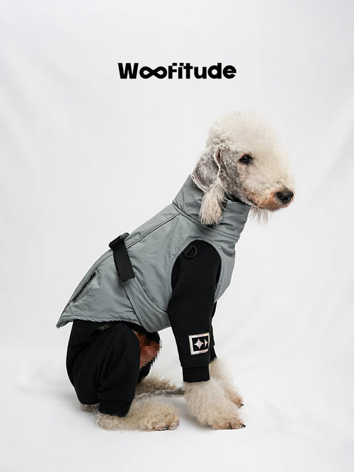 Cashmere Warm Dog Winter Suit