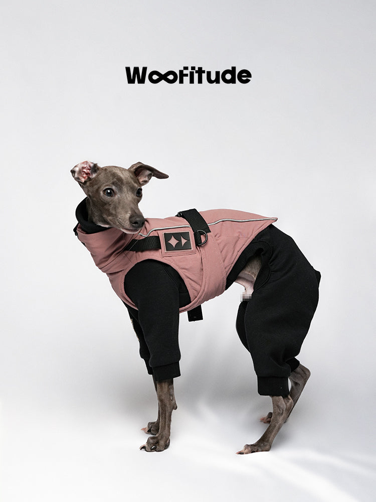 Cashmere Warm Dog Winter Suit