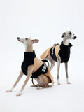 Fleece Dog Vest
