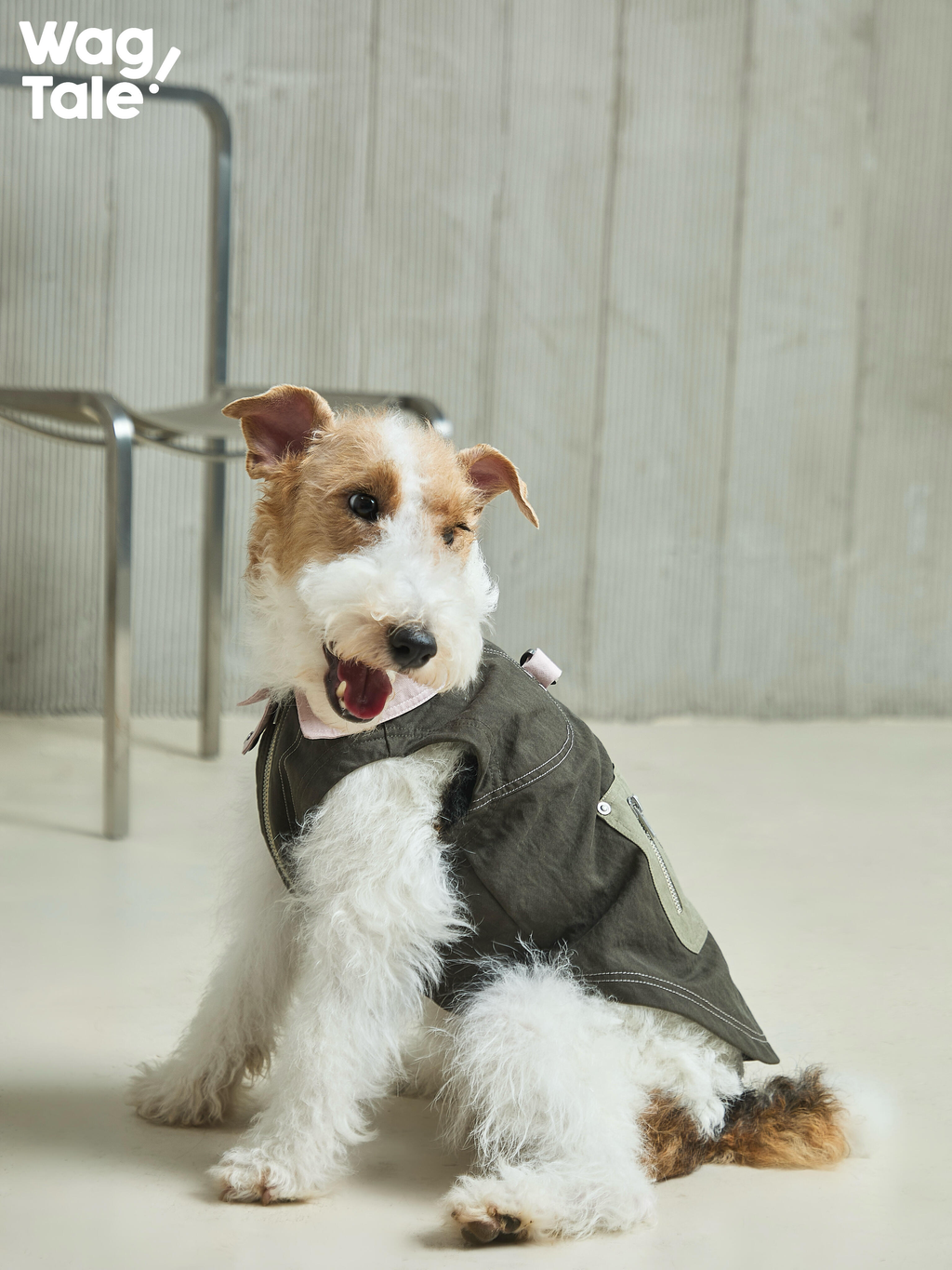 Utility Urban Outdoor Dog Vest